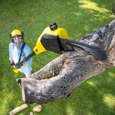 Best Seasonal Cleanup (Spring/Fall)  in Clementon, NJ